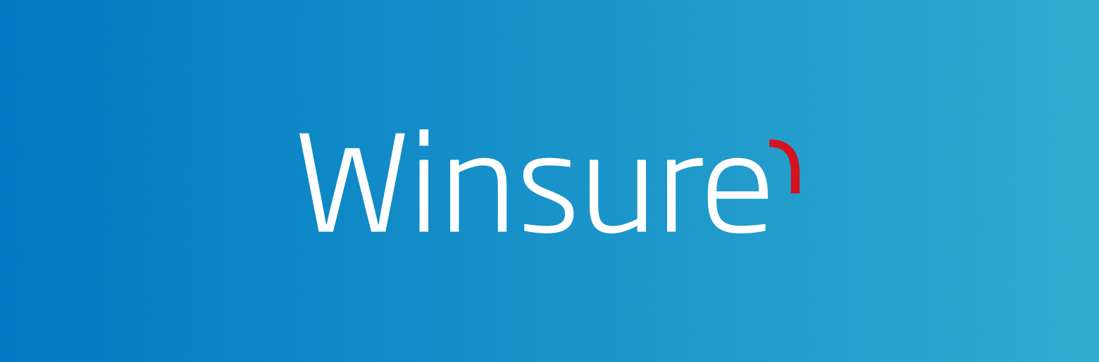 Logo Winsure
