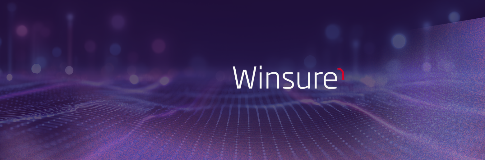 Logo Winsure